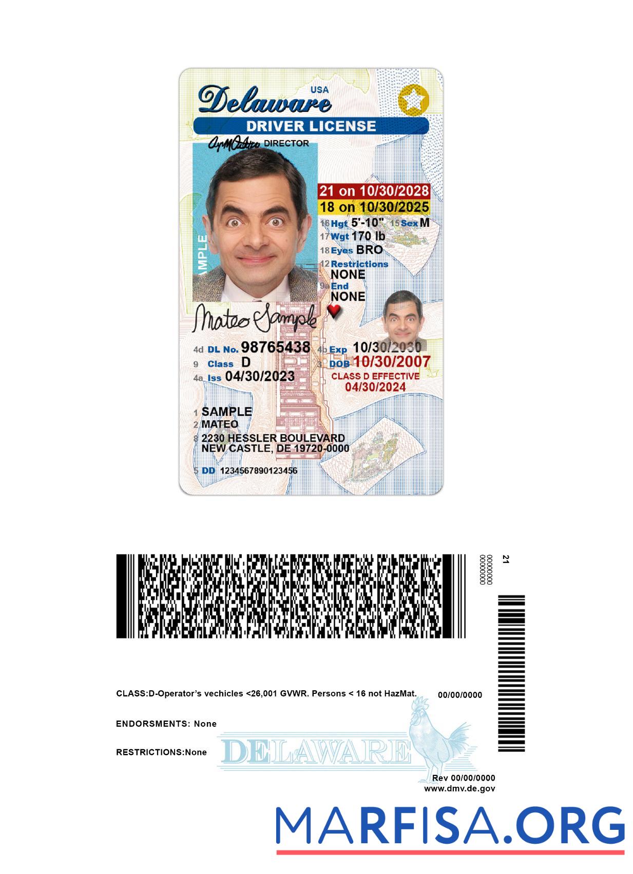Realistic USA Delaware under 21 driving license sample